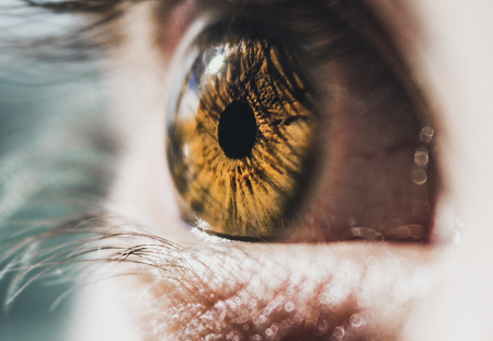 Iridology. Zoom in on an amber-colored eye. Raffaela Marescalco can uncover what your eyes conceal.