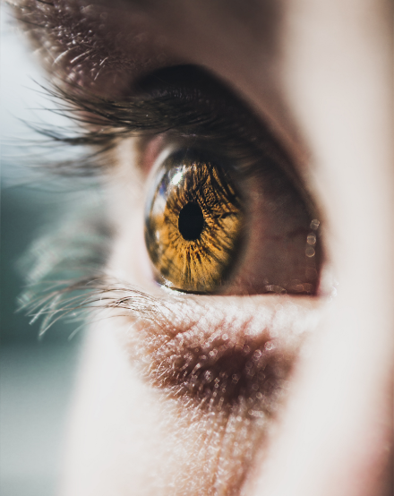 Iridology. Zoom in on an amber-colored eye. Raffaela Marescalco can uncover what your eyes conceal.