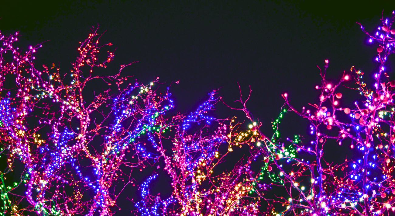 Chromotherapy. Many colored lights hanging from shrubs that illuminate the night.