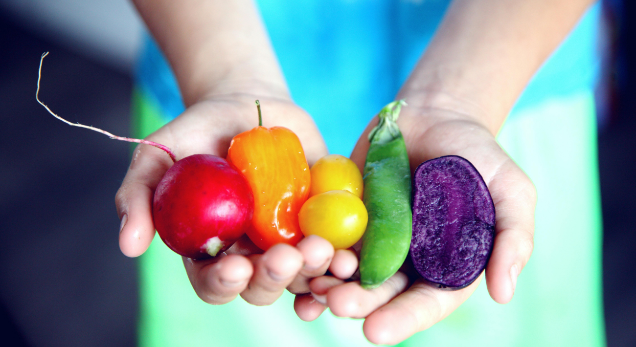 Nutrition. Two hands are holding vegetables of different colors, from red to purple.