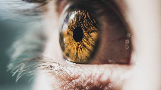 Iridology. Zoom in on an amber-colored eye. Raffaela Marescalco can uncover what your eyes conceal. professional Feng Shui