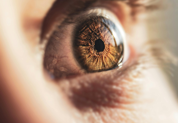 Zoom on an amber-colored human eye.